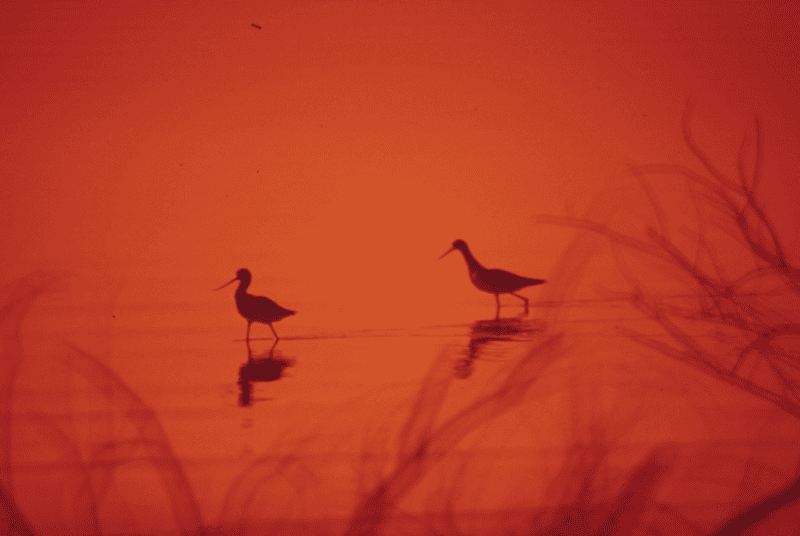 The Art of Connection